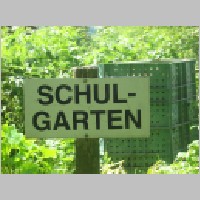 schulgarten_070007.JPG